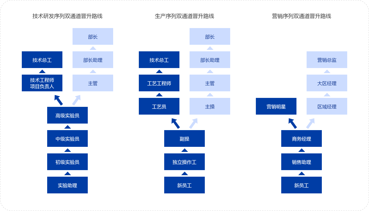 晋升通道